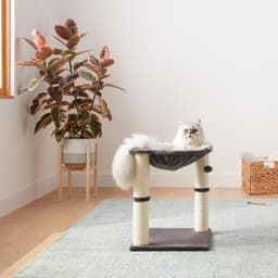 Amazon Basics 19.7-inch gray cat condo tower with plush hammock, two jute scratching posts, secure base and replaceable dangling ball toy for indoor cats