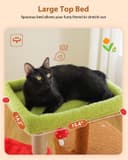 MUTTROS 35.4-inch brown mushroom cat tree with large green top perch, soft red hammock, cat condo, sisal scratching posts and mushroom dangling ball toy