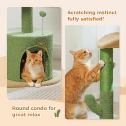 PAWZ Road 32-inch cactus cat tree with green cactus scratch post, sand-colored base, condo, and curved top perch