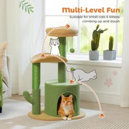 PAWZ Road 32-inch cactus cat tree with green cactus scratch post, sand-colored base, condo, and curved top perch
