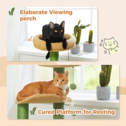 PAWZ Road 32-inch cactus cat tree with green cactus scratch post, sand-colored base, condo, and curved top perch
