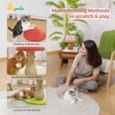 PETEPELA red mushroom-shaped cat scratching post with 100% sisal covering, large stable base, pompom toy and spring ball toy for indoor cats